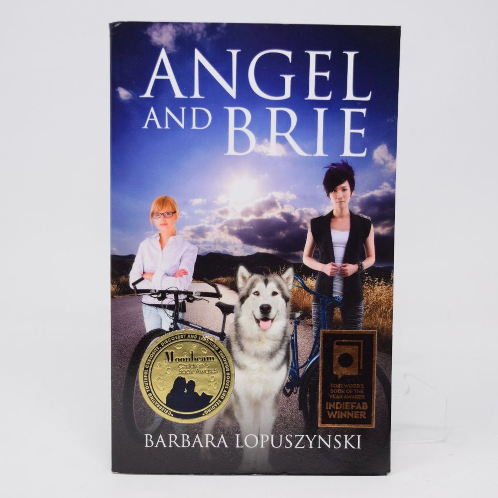 Angel and Brie Barbara Lopuszynski Paperback YA Fiction Adventure